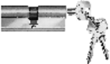 211534 SCHUCO PROFILE CYLINDER 45/40 W-A-L-O DEV